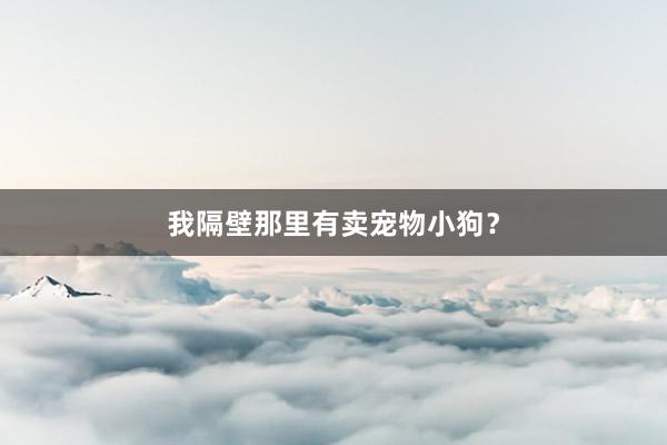 我隔壁那里有卖宠物小狗？